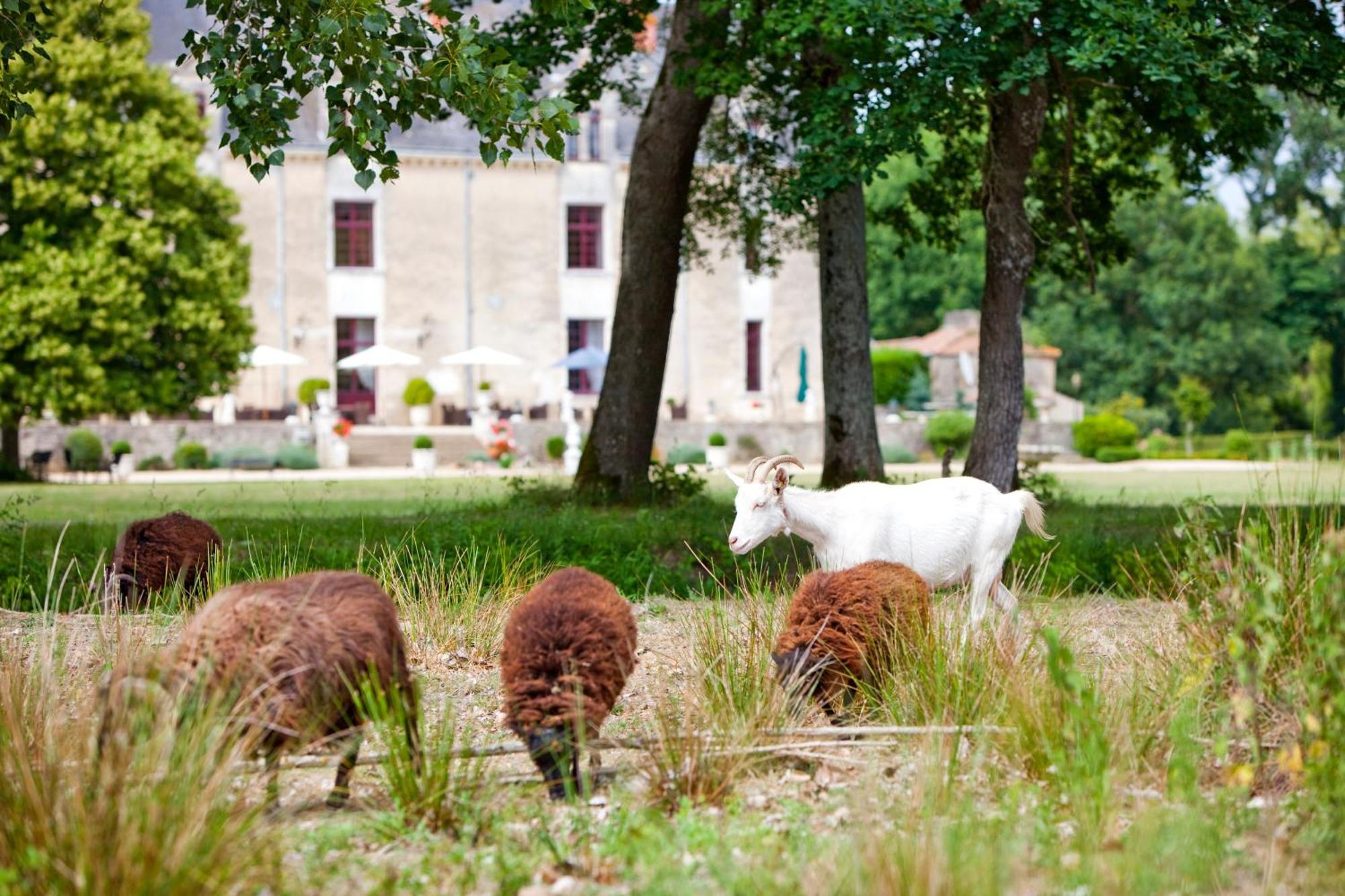 Chateau De La Verie Challans Exterior foto
